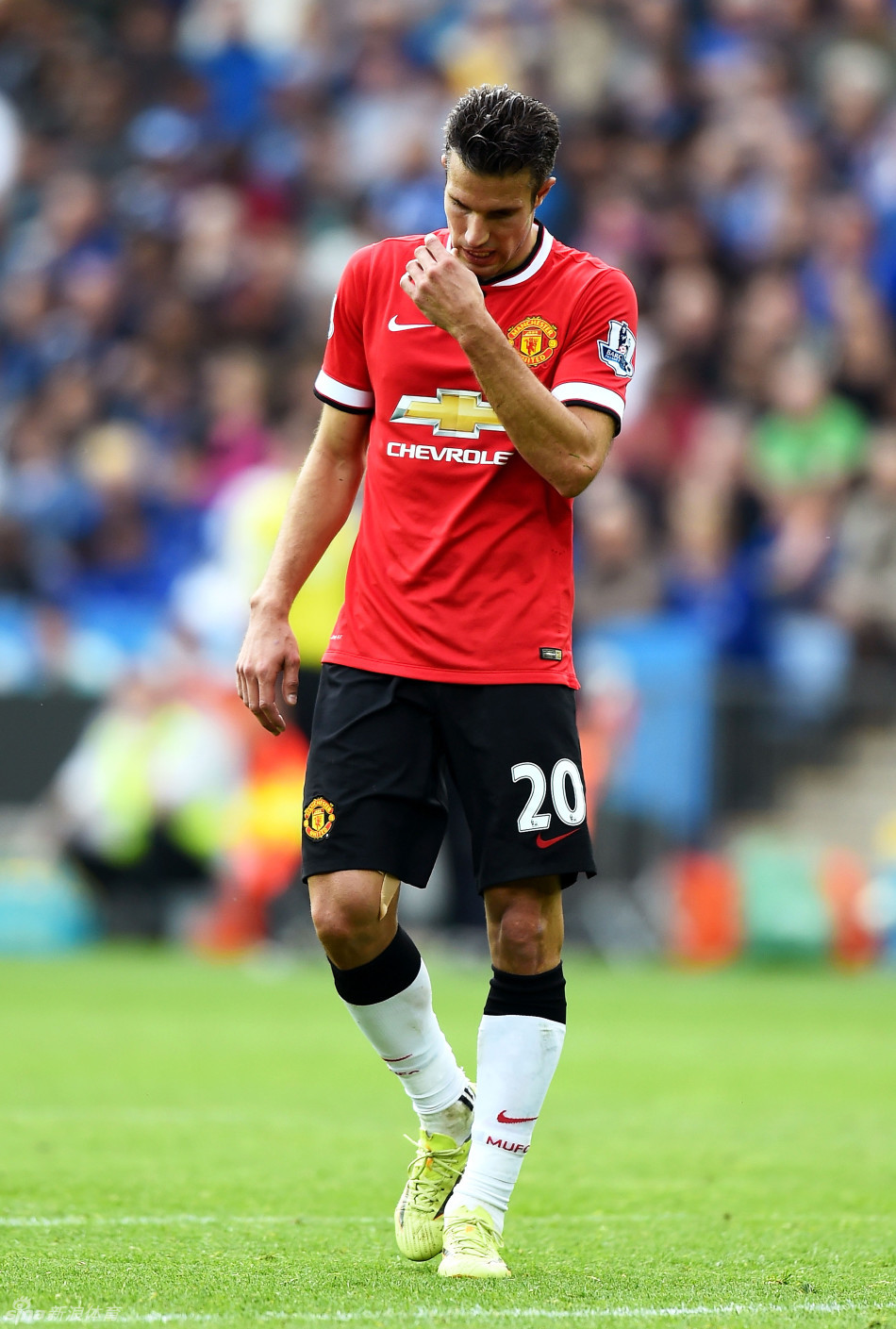 世界杯名场面：梅西让荷兰教练组闭嘴（世界杯高光一幕：梅西令荷兰教练组噤声）